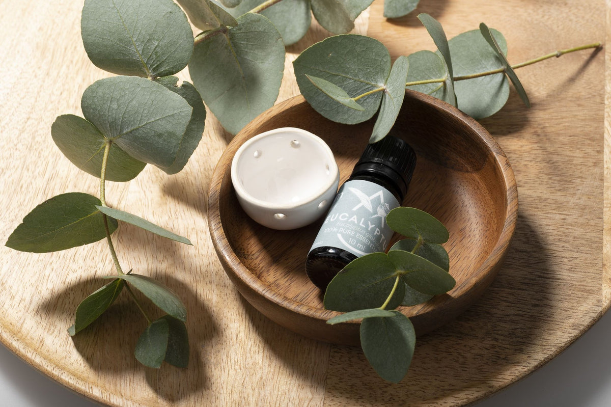 Saunum Eucalyptus aroma oil bottle and ceramic aroma cup in a wooden bowl with eucalyptus leaves