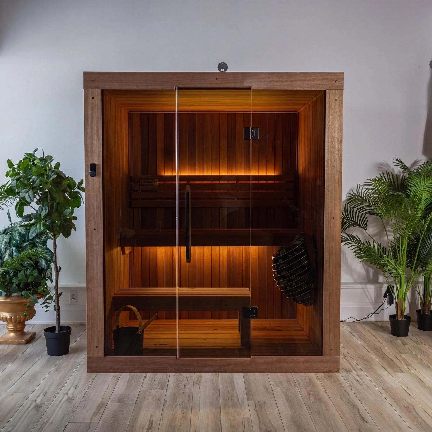 CT Element Studio indoor sauna standing in a room between two plants, glass doors closed