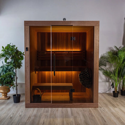 CT Element Studio indoor sauna standing in a room between two plants, glass doors closed